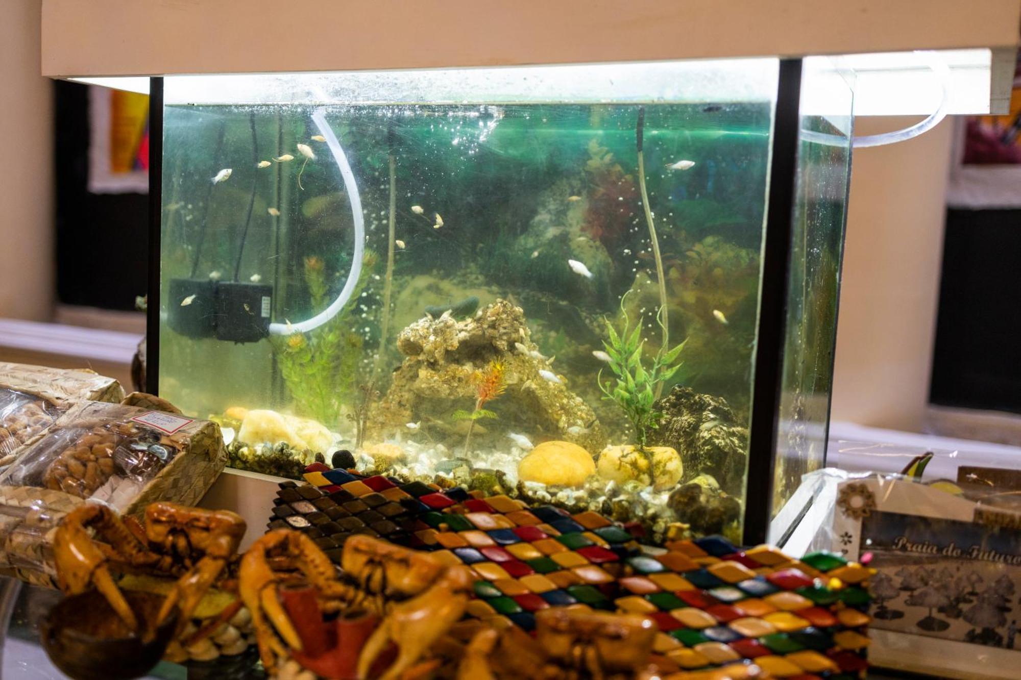 Pousada Ceara - Porto Das Dunas Aquiraz Exteriör bild